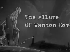 The Allure of Wanton Cove cover