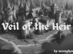 Veil of the Heir cover