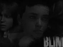 Blind cover