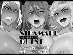 Niramare Quest: Saving a World That Loves Hating Me cover