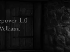 Schleepover cover