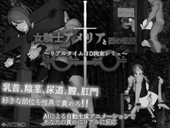 Knightess Amelia and the Dark Organization cover