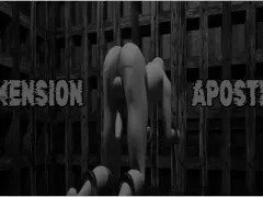 Dimension: Apostle cover