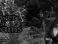 Tower of Dreams cover
