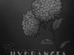 Crimson Hydrangea cover