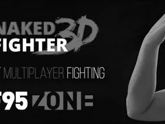 Naked Fighter 3D cover