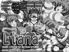 Princess Knight Liana ~S***** Training for the Slave Princess cover