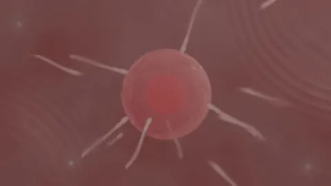 Futanari Revolution screenshot 4