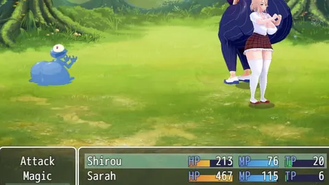 Adventures Of Shirou screenshot 1