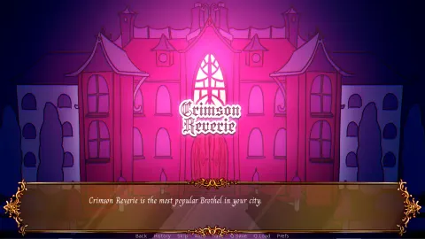 Brothel Virgin screenshot 1