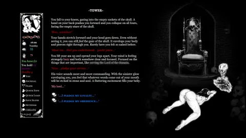 Transylvania screenshot 5